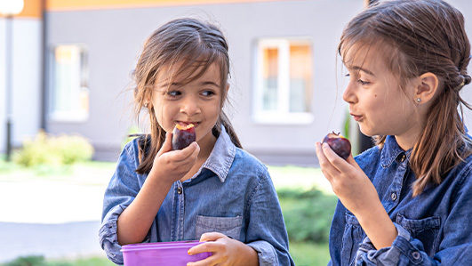 Alimentação Saudável nas Escolas